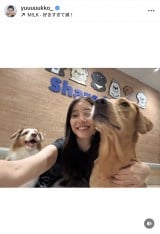 VؗDquKɂ͂܂v(ʐ^̓CX^O @yuuuuukko_ ) 