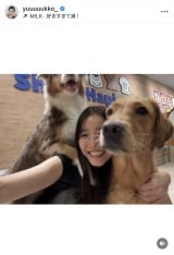 VؗDquKɂ͂܂v(ʐ^̓CX^O @yuuuuukko_ ) 