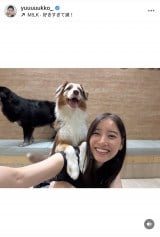 VؗDquKɂ͂܂v(ʐ^̓CX^O @yuuuuukko_ ) 