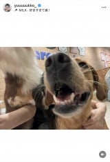 VؗDquKɂ͂܂v(ʐ^̓CX^O @yuuuuukko_ ) 