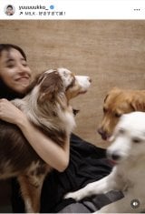 VؗDquKɂ͂܂v(ʐ^̓CX^O @yuuuuukko_ ) 