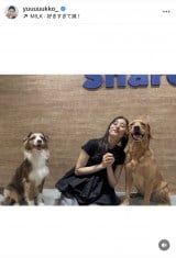 VؗDquKɂ͂܂v(ʐ^̓CX^O @yuuuuukko_ ) 