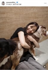 VؗDquKɂ͂܂v(ʐ^̓CX^O @yuuuuukko_ ) 