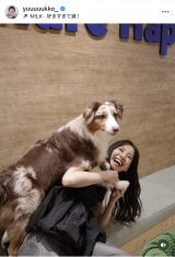 VؗDquKɂ͂܂v(ʐ^̓CX^O @yuuuuukko_ ) 