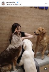 VؗDquKɂ͂܂v(ʐ^̓CX^O @yuuuuukko_ ) 