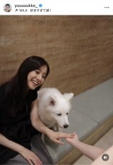 VؗDquKɂ͂܂v(ʐ^̓CX^O @yuuuuukko_ ) 