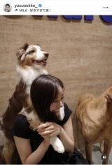 VؗDquKɂ͂܂v(ʐ^̓CX^O @yuuuuukko_ ) 