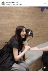 VؗDquKɂ͂܂v(ʐ^̓CX^O @yuuuuukko_ ) 