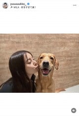 VؗDquKɂ͂܂v(ʐ^̓CX^O @yuuuuukko_ ) 