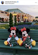 �u�����������b�L�[day�ł����v�N���X�}�X����̃|�b�v�R�[���o�P�b�g�ƃ~�j�[�}�E�X�̂ʂ�����݂���ׂ��ΐ��(�ʐ^�̓C���X�^�O���� @wakatsukichinatsu ���) 