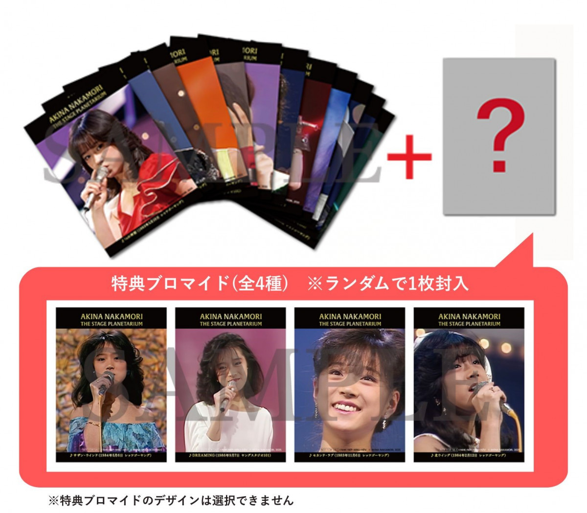 中森明菜 2016年 角川シネマ クリアファイル 来場者限定 非売品 レア 中森明菜 2016年 角川シネマ クリアファイル 来場者限定 非売品 レア