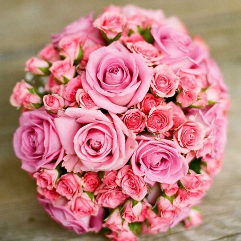 ���Ƃڂ��r�`�o�`�̃h�����E���كL�b�X�A��1�q�o�Y��� 