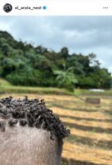 �g�a�V������h���^���I������Y�V(�ʐ^�̓C���X�^�O���� @el_arata_nest ���) 