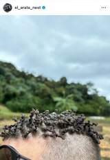 �g�a�V������h���^���I������Y�V(�ʐ^�̓C���X�^�O���� @el_arata_nest ���) 