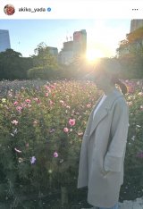 �u�g�t���Ă��v�x�[�W����̏H�R�[�f�ŎU�����y���ޖ�c����q�i�ʐ^�̓C���X�^�O����@akiko_yada ���j 