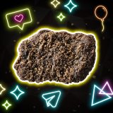 �U�N�`�L(������W�y�b�p�[) 