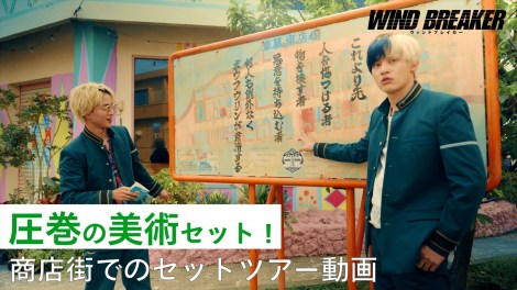 y1114()7 ցzwWIND BREAKER^EBhuCJ[xVʐ^-1_R 