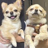 ��ƕ�A����������鑊��ŕ\��ς��Ă񂭂�(@731ten���) 