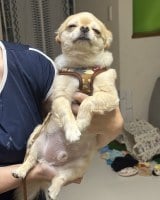 ���ꂳ��ɕ���������āA�����b�N�X�����E�͊�̂Ă񂭂�(@731ten���) 