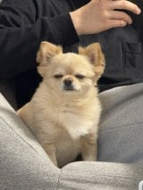 �Q�Ă��鎞���N���Ă��鎞�������\��ȂĂ񂭂�(@731ten���) 