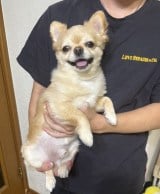 �킳��ɕ���������ăj�R�j�R�ȂĂ񂭂� 