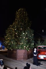 �����t ���[���������~�b�h�^�E�� �c���[�_�����ɓo�d����TWICE�ESANA 