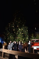 �����t ���[���������~�b�h�^�E�� �c���[�_�����̖͗l 