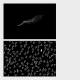 �z�M�V���O���u�����ǂ܂�v�W���P�b�g 