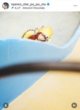 �g�ʐl���h�r�W���A�����I�����ɂ�񂱃X�^�[�E�A���S������(�ʐ^�̓C���X�^�O���� @nyanco_star_pu_pu_mu ���) 