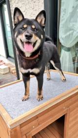 ��ꂽ�����𒼂��Ă��炢�A�����h��ʒu�h�ɖ߂�Ƃ炭�� 