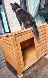 �����ۂ𐂂ꉺ���ĉ�����ɂ��邩���Ƃ炭�� 