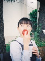 �n���E�q���W���̃t�H�g�u�b�N�w1�A2�A3 �n�i�I�x�i�󓇎Ёj��12��15���ɔ��� 