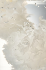 ���{���㗤�̊؍��r���[�e�B�[�u�����h �gnaxna�h 