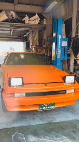 �V���[�g����Ńg���^�w�Z���JXX�x�w����`�����i�J���g�t�E�t(YouTube�����`�����l��(@okinawalifevlog5012)���) 