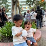 ���ɂ킽���߂�H�ׂ₷���T�C�Y�ŕ�����D�������Z����� 