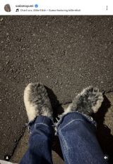 ���c�^�R�������J�����g�Ԃ�����h�R�[�f�̃A�C�e�� (�ʐ^�̓C���X�^�O���� @sadamayumi ���) 