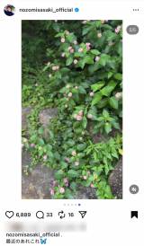 �u�ŋ߂̂��ꂱ��v (�ʐ^�̓C���X�^�O���� @nozomisasaki_official ���) 