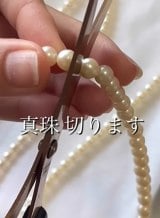 小説印字の“読むレジ袋”、ナチュラルローソンで無料配布開始