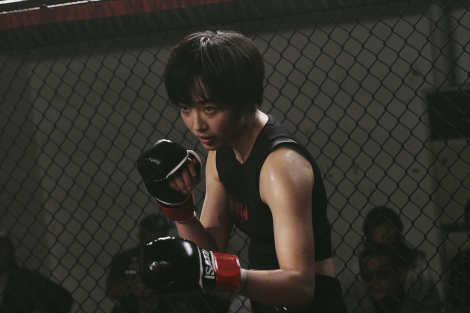 �f��w�i�C�g�t�����[�x�i11��28�����J�j�iC�j2025�u�i�C�g�t�����[�v����ψ��� 