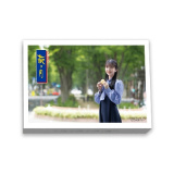 �u�T�؍�46 �v�ێj������ �{��E��� ��������v���̌��������A���p�b�P�[�W 