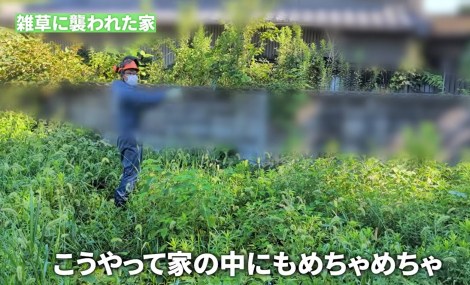 ��������G�����I����Ɂc�i�ʐ^��@oniwasoji�j 