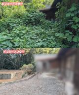 �����̃r�t�H�[�A�t�^�[�i�P�j�i�ʐ^��@oniwasoji�j 