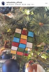 ���c��q�u���N�͂��Ȃ葁�߂ɏo���܂����v�i�ʐ^�̓C���X�^�O���� ��reikoshiota_official ���j 