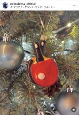 ���c��q�u���N�͂��Ȃ葁�߂ɏo���܂����v�i�ʐ^�̓C���X�^�O���� ��reikoshiota_official ���j 