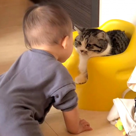 �֎q��D�������Ԃ����vs�L�iInstagram�^��funi0202���j 