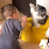 �֎q��D�������Ԃ����vs�L�iInstagram�^��funi0202���j 