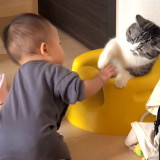 �֎q��D�������Ԃ����vs�L�iInstagram�^��funi0202���j 