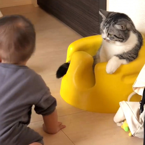 �֎q��D�������Ԃ����vs�L�iInstagram�^��funi0202���j 