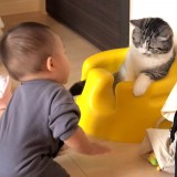 �֎q��D�������Ԃ����vs�L�iInstagram�^��funi0202���j 