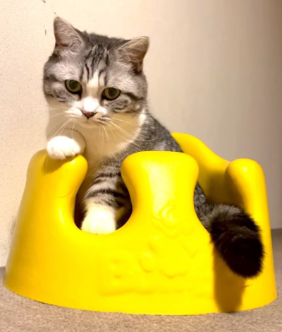 �Ԃ����֎q�ɂ����ۂ���܂�ӂɂ����iInstagram�^��funi0202���j 